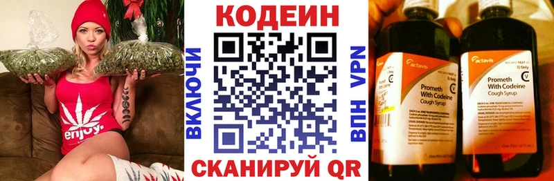 Купить закладки  Плёс  Кодеиновый сироп Lean Purple Drank 